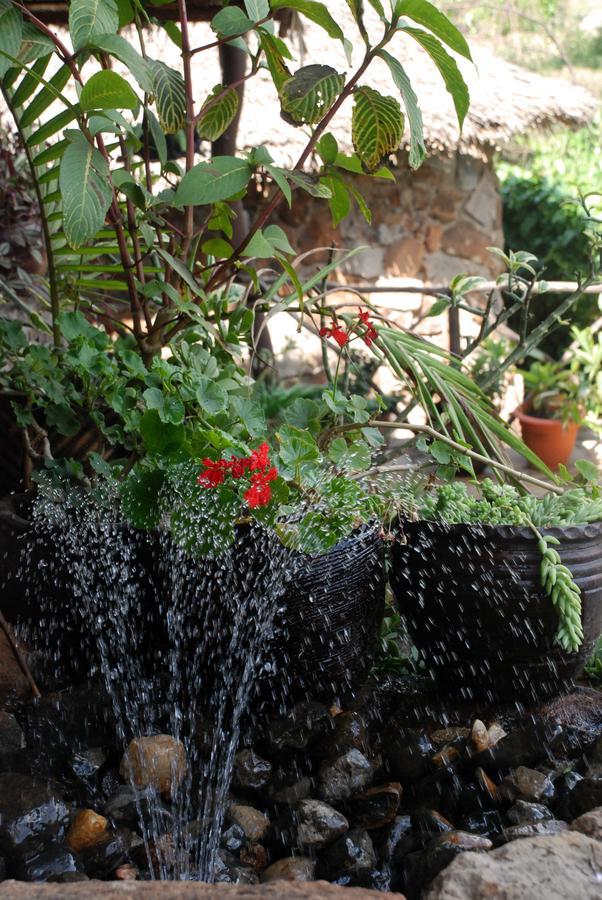 Osoita Lodge Nairobi Dış mekan fotoğraf