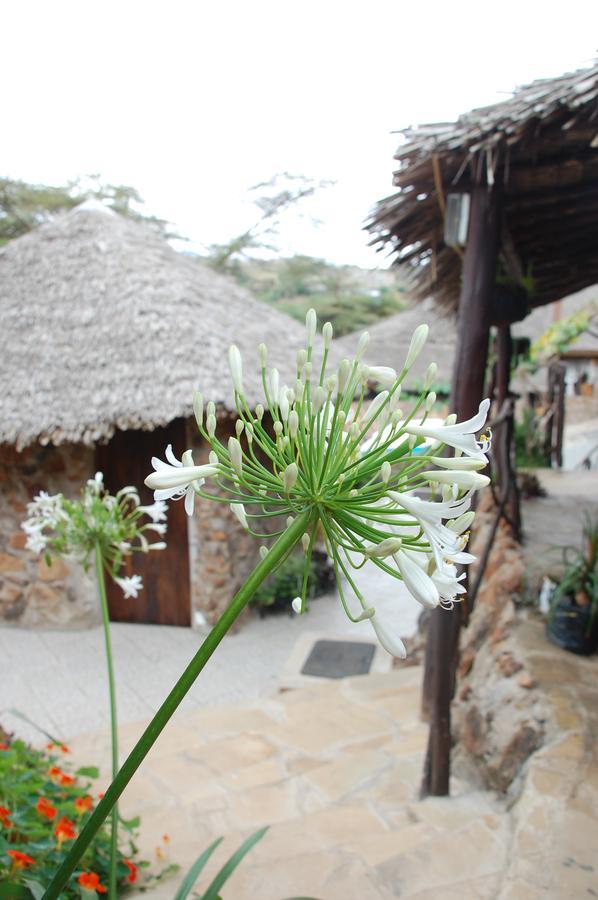 Osoita Lodge Nairobi Dış mekan fotoğraf