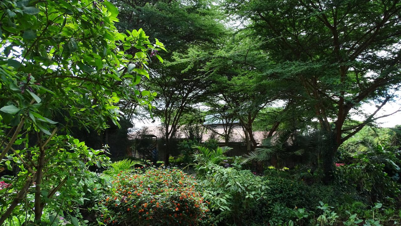 Osoita Lodge Nairobi Dış mekan fotoğraf